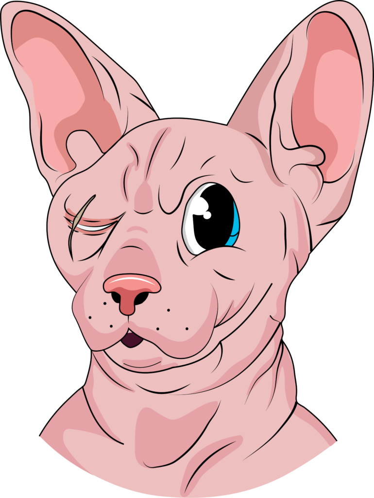 Sphynx Latinos